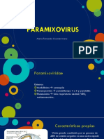 Paramixo Virus