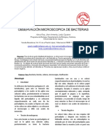 Informe 4. Observacion Microscopica de Bacterias