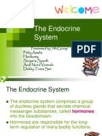 The Endocrine System: Presented By: 5th Group Feby Amalia Hardianty Suryana Syuaib Andi Nurul Virninda Debby Trisia Sari