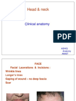 Head & Neck: Clinical Anatomy