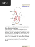 Acute Bronchitis