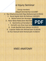 Knee Injury Seminar 2015