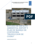 EIA Curtiembre PDF