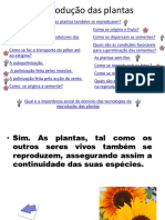 A Reprodução Das Plantas