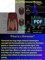 Mechanism of Hormone Action