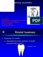 Dental Anatomy 1