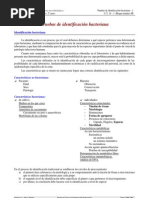 Pruebas de Identificacion Bacteriana 1