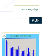 KARYOTYPE