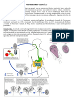 Giardia Lamblia