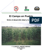 ElcampoenPuebla PDF