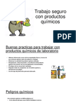 Trabajo Seguro Con Productos Químicos-Organica