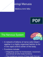 Fisiologi Manusia: DR Mellova Amir MSC