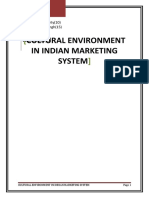 Cultural Environment in Marketing