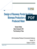 Yadala, Soumya - Design of Raceway Ponds For Biomass Production