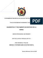 Diagnostico y Tratamiento de Distocia en La Perra PDF