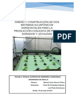 TFG Diseño y Construcción de Dos Sistemas Acuapónicos Horizontales para La Producción Conjunta de Peces Dorados y Lechugas PDF