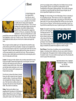 Cacti PDF