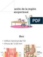 Exploración de La Región Anoperineal