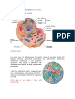 Contenidos Tercer Periodo Grado 4 LA CELULA