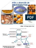 Clase Digestion y Absorcion de Carbohidratos