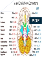 Cranial Nerves and RG Veda