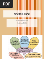 Mikrovir Fungi