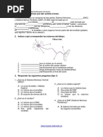 Examen Ciencias Octavo