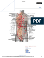 Puntos Torso