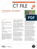 Common Wombat: JR Fact File