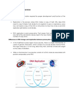 Dna Replication and Mutation