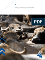 Efficient Dairy Buffalo Production PDF