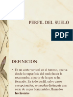 Perfil Del Suelo