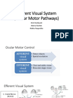 Efferent Visual System (Ocular Motor Pathways)