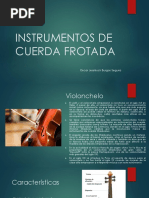 Violoncello y Contrabajo