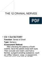 12 Cranial Nerves