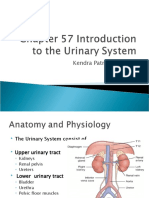 Chapter 57 Introduction To The Urinary System