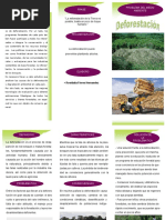 Triptico Deforestacion PDF