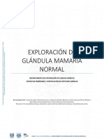 1.exploracion de Glandula Mamaria Normal