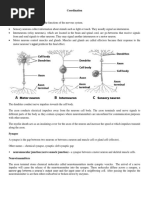 Coordination - Human Bio HB10