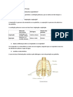 (3° Teste) Esquema