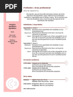 Curriculum Vitae Modelo Granate