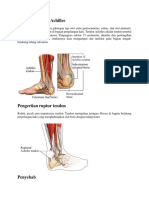 Anatomi Tendon Achilles