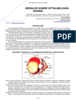 29-Aspectos Oftalmologia Equina