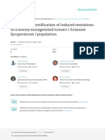 NGS-based Identification of Induced Mutations in A Doubly Mutagenized Tomato (Solanum Lycopersicum) Population