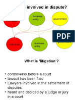 Who Gets Involved in Dispute?: Individual Business Entity Government