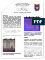 Aislamiento de DNA Plasmídico