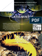 Exposicion de Platelmintos