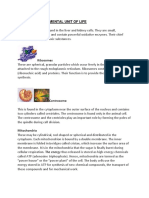 Cell-The Fundamental Unit of Life: Ribosomes