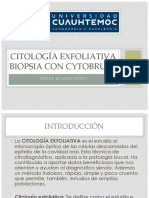 Citologia Exfoliativa 2018