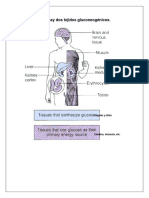 Regulación Hormonal Glucolisis y Glucogénesis